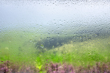 Wall Mural - Water droplets on a window pane with beautiful defocused scenery outside.