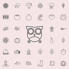 Aufkleber - owl icon. autumn icons universal set for web and mobile