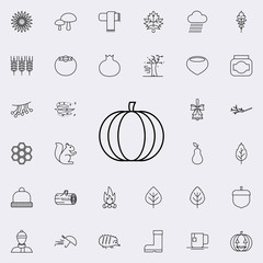 Poster - pumpkin icon. autumn icons universal set for web and mobile