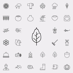 Poster - leaf icon. autumn icons universal set for web and mobile