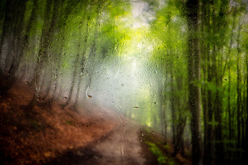 Wall Mural - Water droplets on a window pane with beautiful defocused scenery outside.