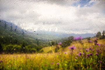 Poster - Water droplets on a window pane with beautiful defocused scenery outside.