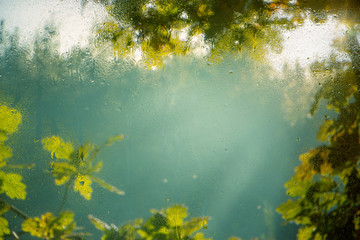 Wall Mural - Water droplets on a window pane with beautiful defocused scenery outside.