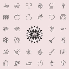 Poster - sunflower icon. autumn icons universal set for web and mobile