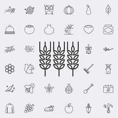 Aufkleber - wheal icon. autumn icons universal set for web and mobile