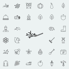 Aufkleber - branch icon. autumn icons universal set for web and mobile