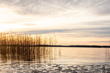 Beautiful orange winter landscape sunset over calm lake water with ice floe and reed against sea horizon.