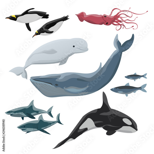 Cuadros en Lienzo Inhabitants of cold seas and oceans