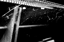 A Spider Web On Metal Railings Awaits The Built-in Light. Black And White