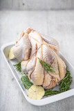 Fototapeta  - Uncooked guinea fowl in white baking dish with garlic and rosemary