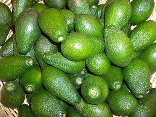 Wall Mural - a bunch of ripe avocados