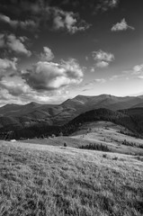 Wall Mural - Carpathian mountain landscape