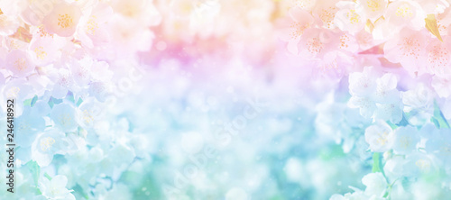 Floral spring background Tableau sur Toile