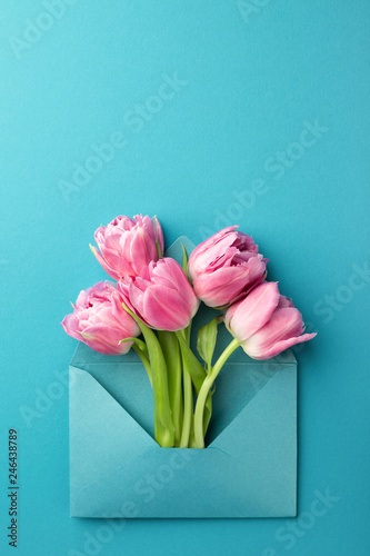 Five pink tulips in turquoise envelope on turquoise background. Spring greeti...