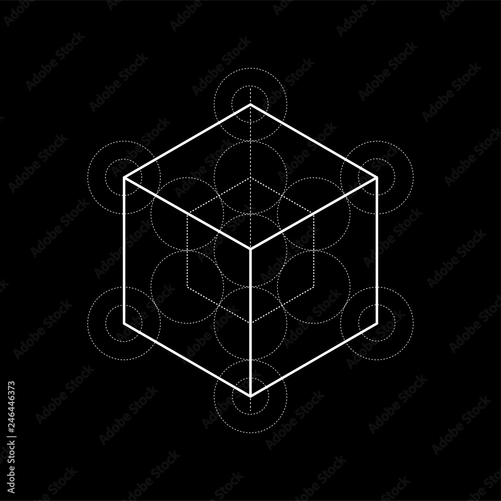 sacred geometry vector Metatrons cube illustration with construction ...