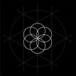 Flower of life with construction lines sacred geometry vector illustration on black background