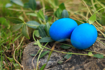 Two blue colored traditional Easter eggs in the grass on the natural wooden background