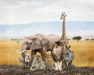 Wall Mural - group of safari animal friends