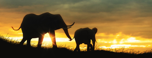 Wall Mural - mother and baby elephant african sunset silhouette