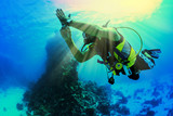 Fototapeta Do akwarium - Diving instructor in the Red Sea.