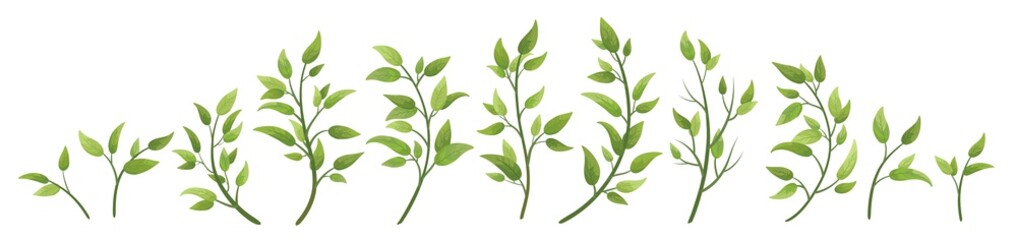 vector designer elements set collection green branch with leaves. decorative beauty elegant illustra