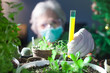 © aerogondo - woman chemist experimenting with chemicals and plants holding a test tube with yellow fluid