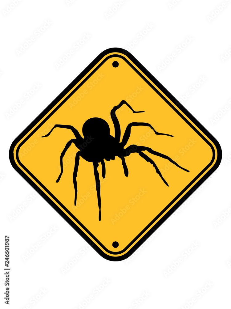 10 Spinnen Aufkleber S095A - Verdeckt Kleine Löcher + Kratzer