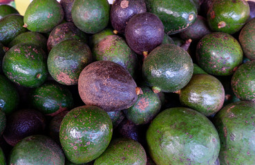 Fresh avocado fruit background / Pile of Avocado tropical fruit organic in the market