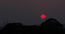 Red Sun In Dark Sky