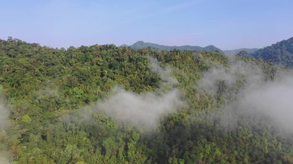 Wall Mural - Aerial footage clouds over mountain rainforest 