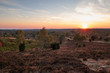 © wlad074 - Landscape of Lueneburg Heath in sunlight, Germany