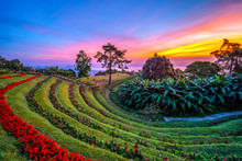 Huai Nam Dang National Park In Sunrise And Beautiful Sky In Morning, Chiang Mai, Thailand. Majestic Sunrise In The Mountains Landscape.