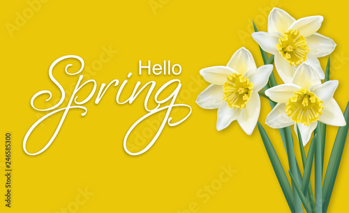 Fotografía Spring card narcissus flowers bouquet on yellow background Vector realistics