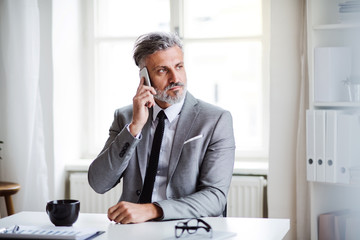 Wall Mural - Serious mature businessman with smartphone sitting at the table, making a phone call.