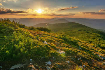 Wall Mural - Rest in the summer in the Ukrainian Carpathians with overnight stay in a tent on a mountain top.
