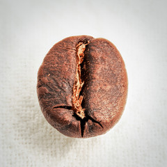 Close up macro photograph of a single coffee bean