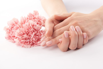 Wall Mural - Partial view of female hands and carnations flowers on white background