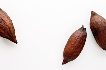 Wall Mural - Cocoa pods on a white background, creative flat lay food concept with copy space