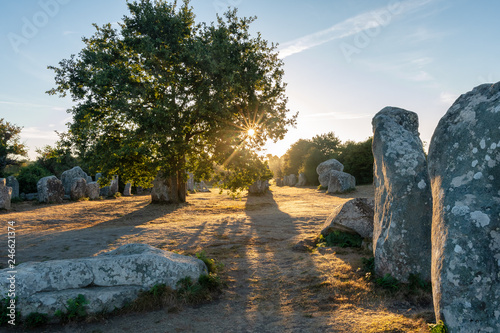 Pinturas sobre lienzo  French landscape - Bretagne