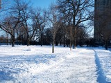 Fototapeta Na drzwi - Frozen and covered in snow walking trail at Lincoln Park, Chicago, Illinois
