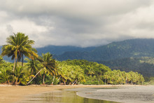 Uvita Tropical Beach With Palm Trees Costa Rica 