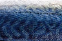 Close Up Of Mackerel Fish Skin