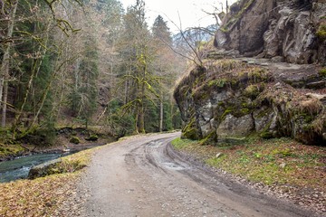 Dirt road at Borjomula river at Borjomi park 