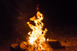 © Pavlo Vakhrushev - Bonfire near water in forest