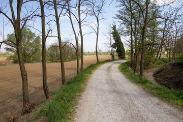 Sticker - Campagna del Lodigiano (Lombardia)