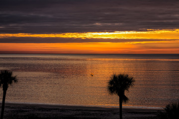 Canvas Print - One Bird at Dawn