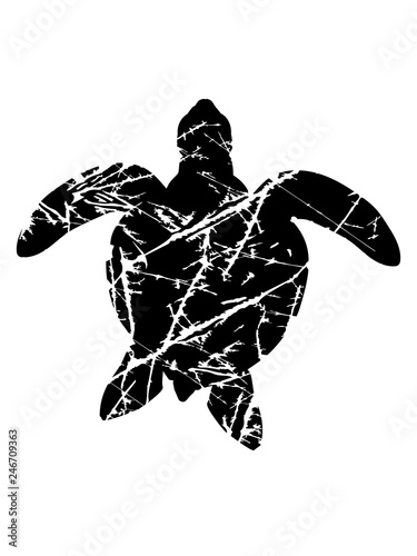 Kratzer Risse Stempel Muster Cool Meeresschildkrote Silhouette Umriss Schatten Wasserschildkrote Schildkrote Wasser Turtle Schwimmen Meer Flossen Clipart Design Schon Panzer Tattoo Logo Buy This Stock Illustration And Explore Similar Illustrations At