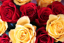 Floral Background With Red And Yellow Roses. Bunch Of Bright Red And Yellow Roses Close Up.