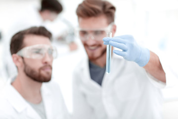 Wall Mural - two scientists examining liquid in a test tube