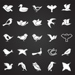 © Andre - Bird icons set on black background for graphic and web design, Modern simple vector sign. Internet concept. Trendy symbol for website design web button or mobile app